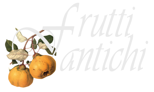 FruttiAntichi